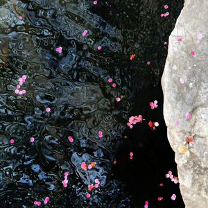 中文字幕人妻在线中字
